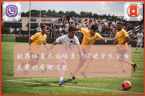 校园体育文化培育：促进学生全面发展的有效途径