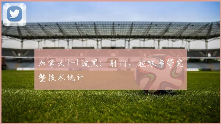 加拿大1-1波黑：射门、控球率等完整技术统计