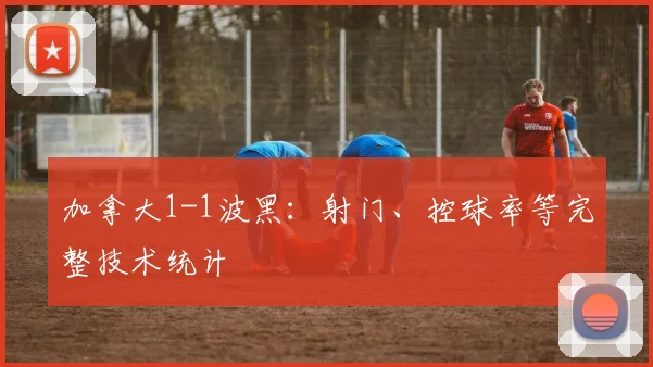 加拿大1-1波黑：射门、控球率等完整技术统计